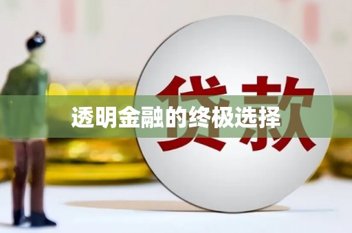 荔城透明金融的终极选择