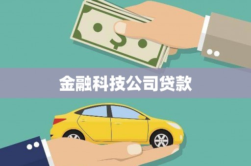 荔城金融科技公司贷款