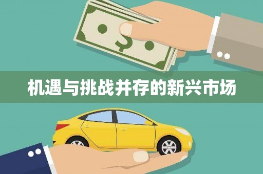 荔城机遇与挑战并存的新兴市场
