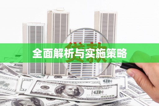 荔城全面解析与实施策略