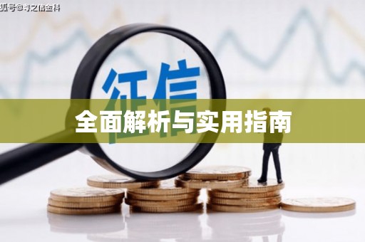 荔城全面解析与实用指南