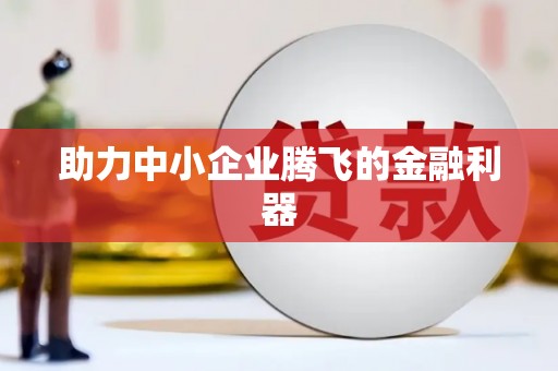 荔城助力中小企业腾飞的金融利器