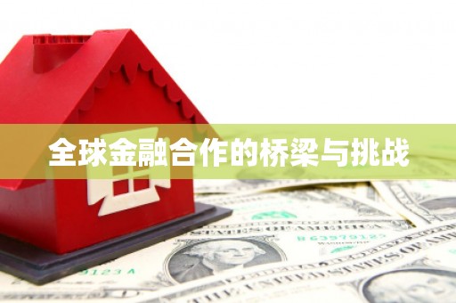 荔城全球金融合作的桥梁与挑战