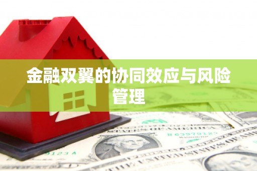 荔城金融双翼的协同效应与风险管理