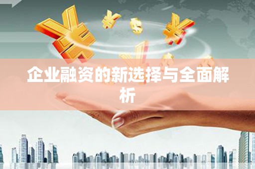 荔城企业融资的新选择与全面解析