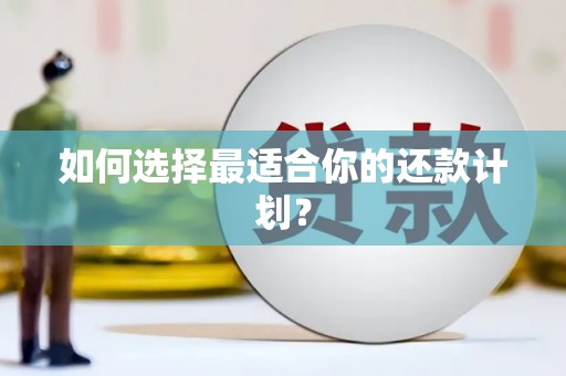 荔城如何选择最适合你的还款计划？