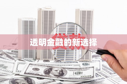 荔城透明金融的新选择