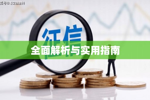 荔城全面解析与实用指南