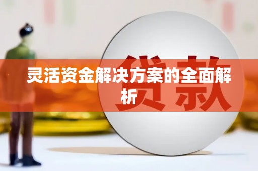 荔城灵活资金解决方案的全面解析
