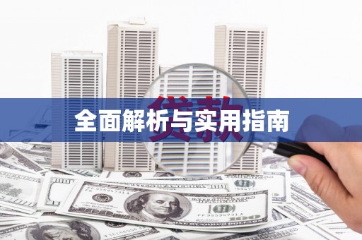 荔城全面解析与实用指南
