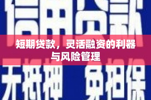 荔城短期贷款，灵活融资的利器与风险管理