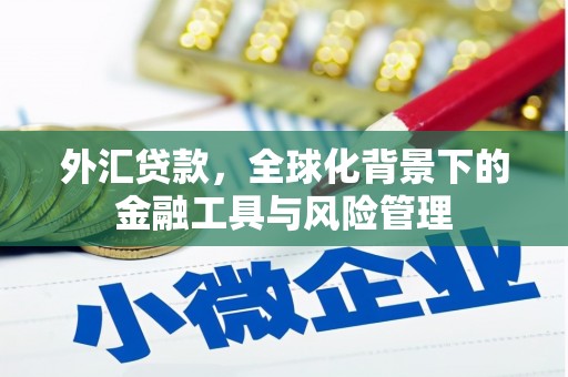 荔城外汇贷款，全球化背景下的金融工具与风险管理