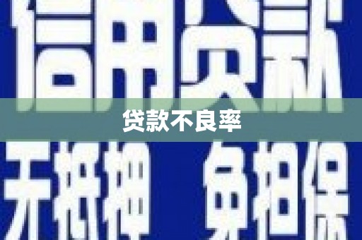 荔城贷款不良率