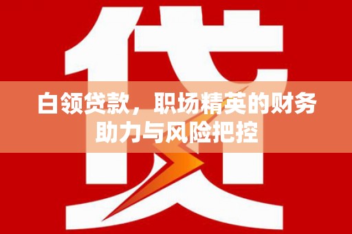 荔城白领贷款，职场精英的财务助力与风险把控